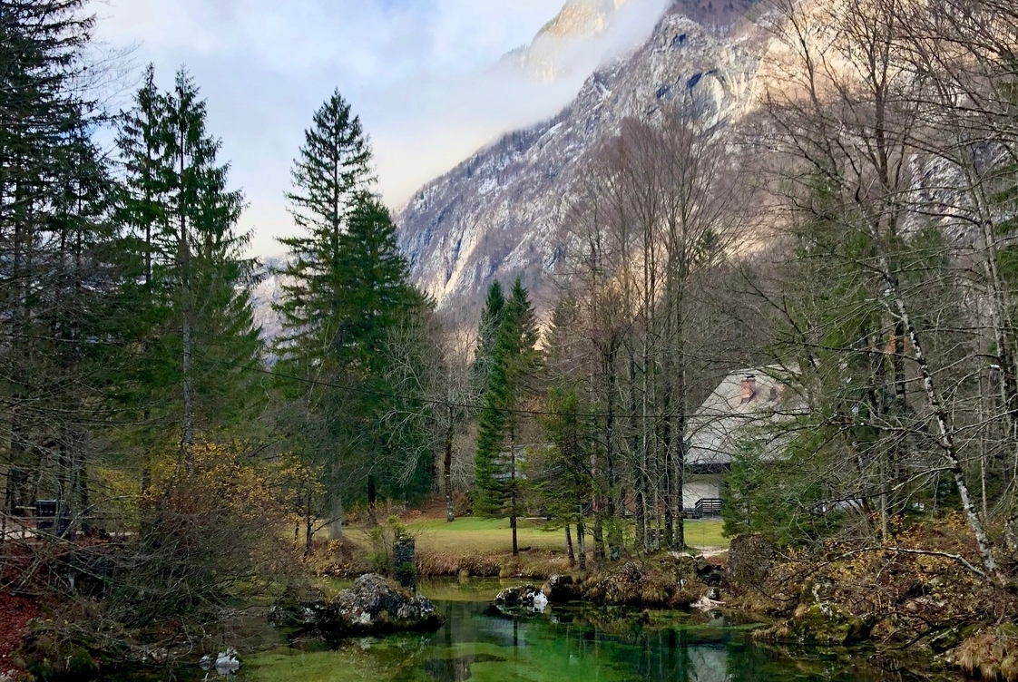 A small inlet of water from Lake Bohinj with trees and a mountain in the background