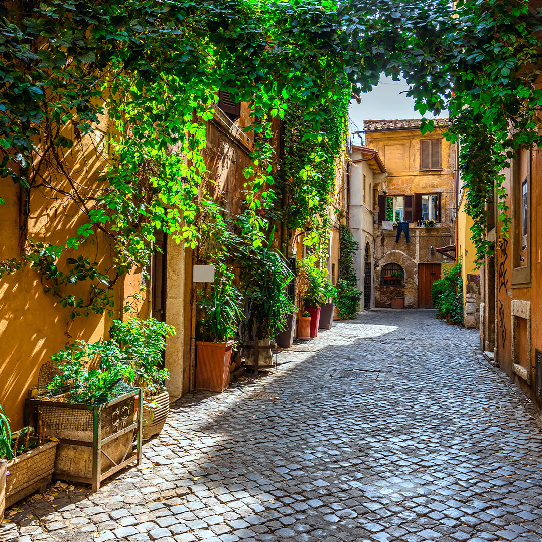 An empty side street, with ivy hanging over the cobblestone and orange buildings lining the street