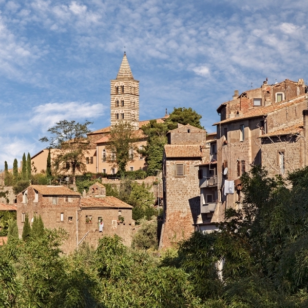 A view of Viterbo's old town, looking up at a hillside with stone buildings, trees and a church